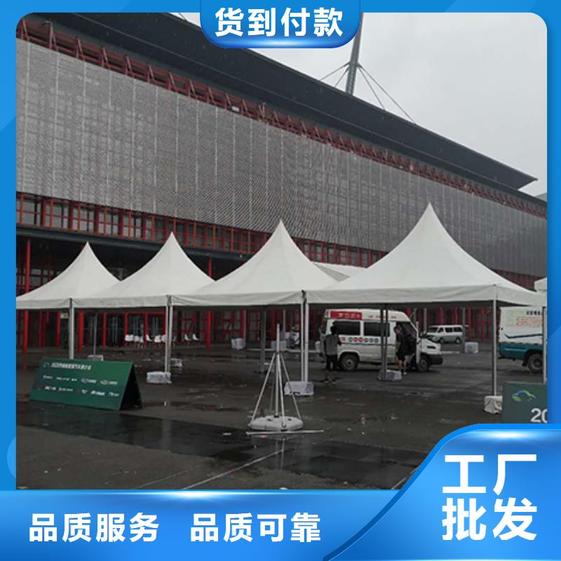孝南车展灯经验丰富