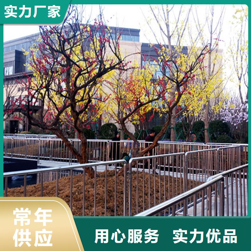 铁马护栏出租玻璃篷房出租快速