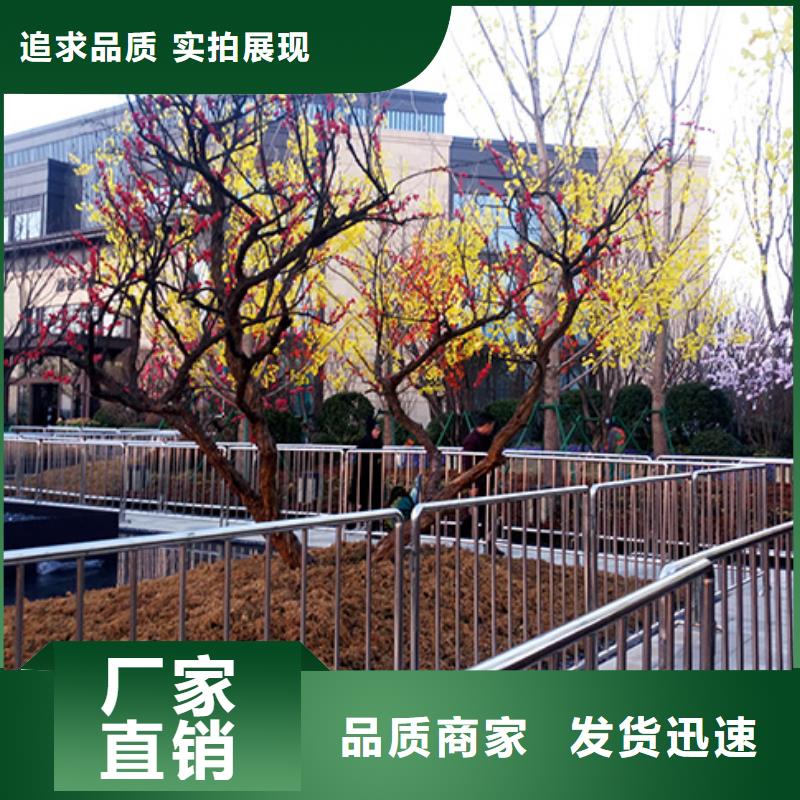 铁马护栏出租尖顶篷房租赁放心之选