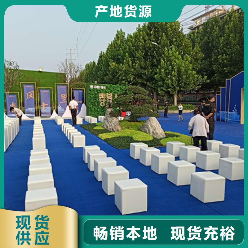 沙发租赁 蓬房租赁多年行业经验