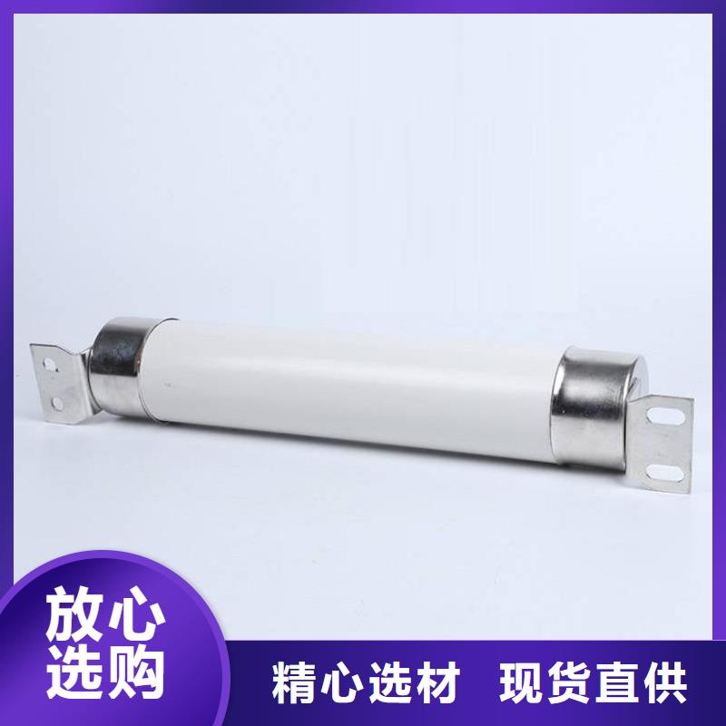 高压熔断器PT手车源厂直接供货