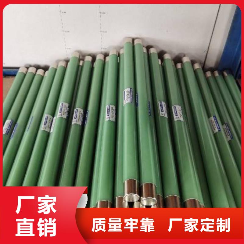 XRNP-7.2KV/0.51A2A高压保险丝型号价格