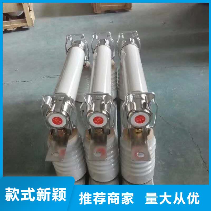 XRNP-7.2KV/0.51A2A高压保险丝型号价格