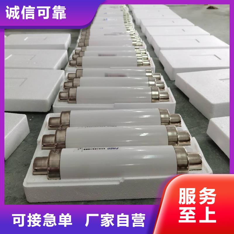 高压熔断器PT手车源厂直接供货