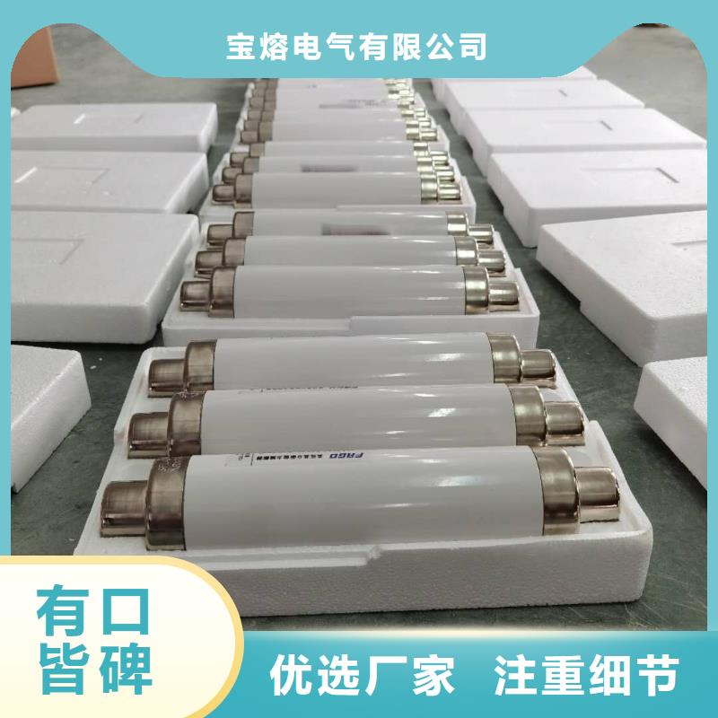 XRNP-24KV熔管高压保险丝熔断器