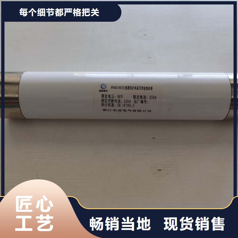XRNT-7.2KV/6.3A变压器保护用高压限流熔断器