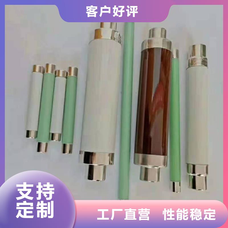 高压熔断器高压氧化锌避雷器定制定做