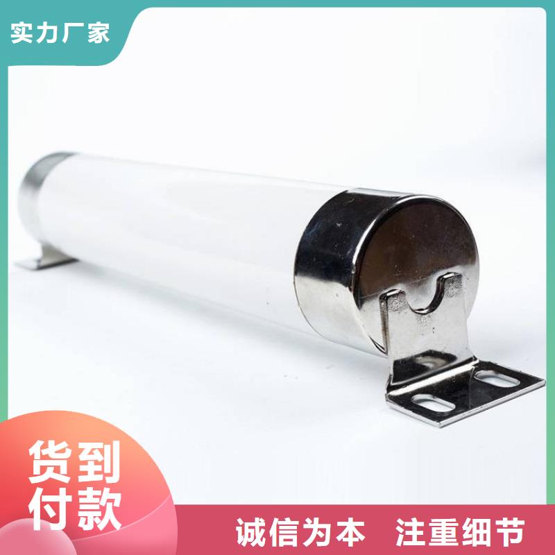 XRNP-24KV熔管高压保险丝熔断器