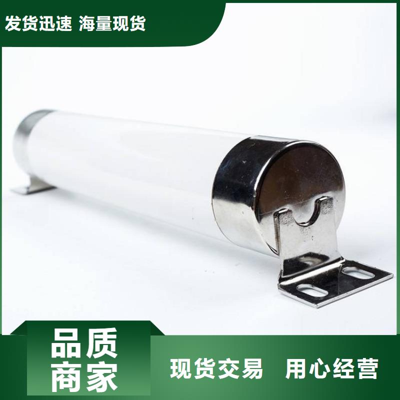 XRNP-24KV/2A3A熔管高压保险丝熔断器