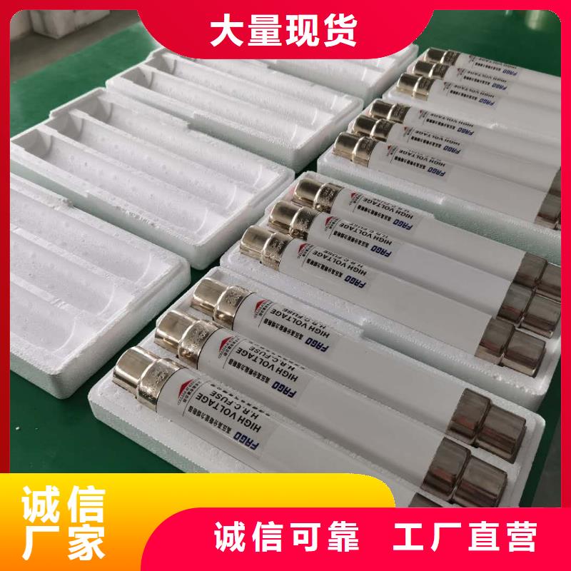 XRNP-24KV/2A3A熔管高压保险丝熔断器