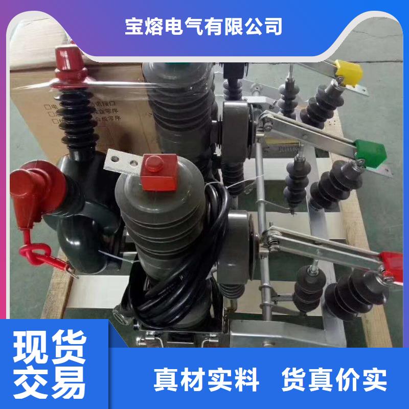 【真空断路器】BR-1双电源配电箱一站式采购