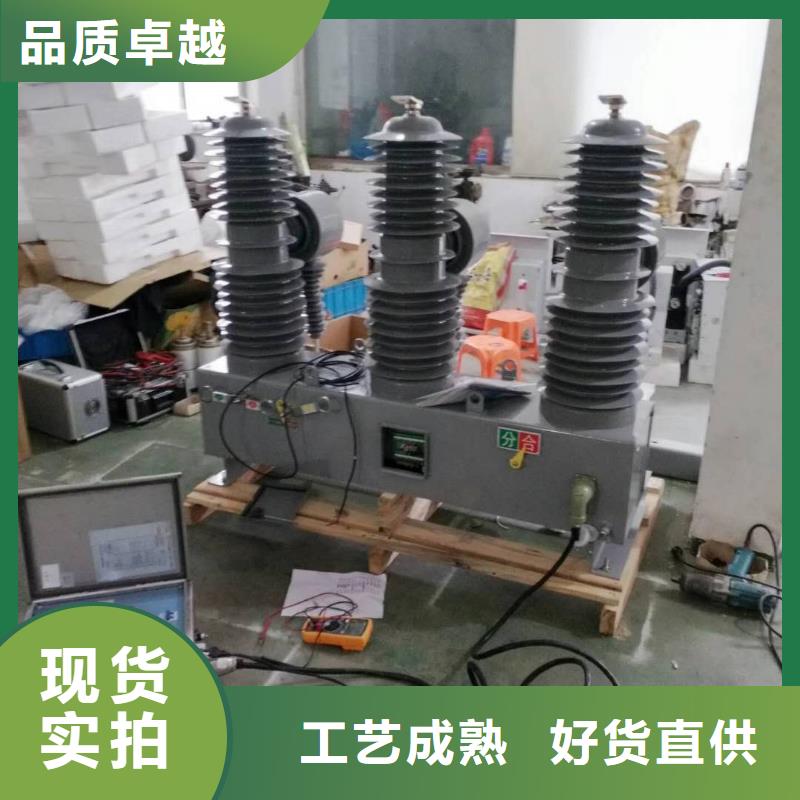 厂家ZW32-12G/T630户外高压真空断路器