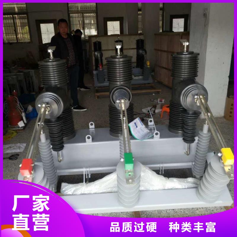 厂家ZW32-12G/T630户外高压真空断路器