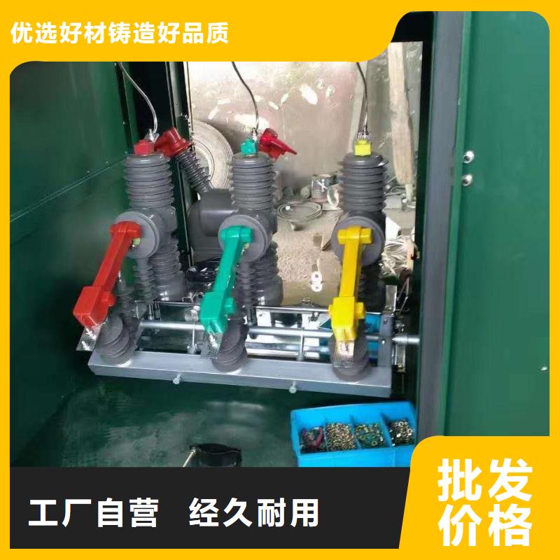 厂家ZW32-12G/T630户外高压真空断路器