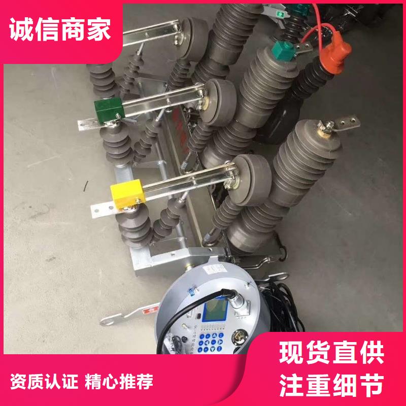 厂家ZW32-12G/T630户外高压真空断路器