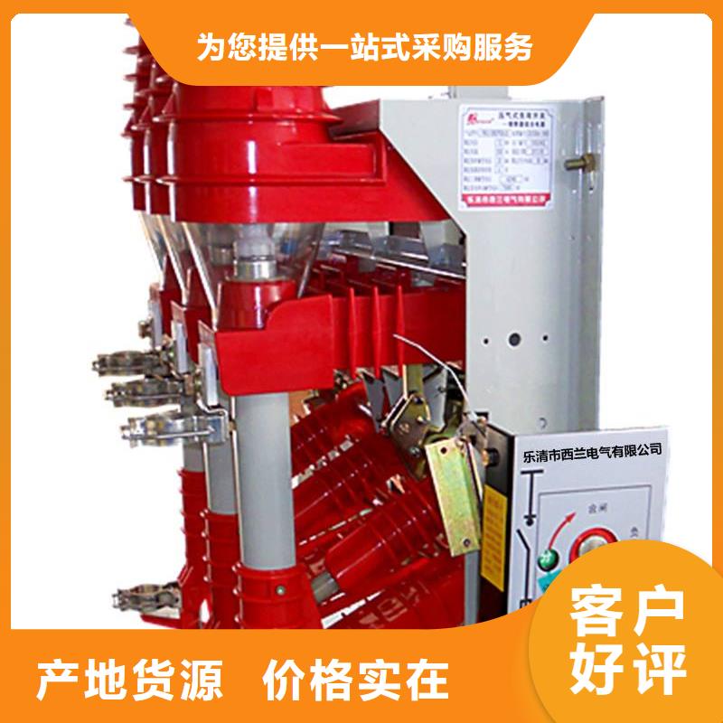 10KV真空负荷开关FZN25/FKN12-12RD/T630A125A现货