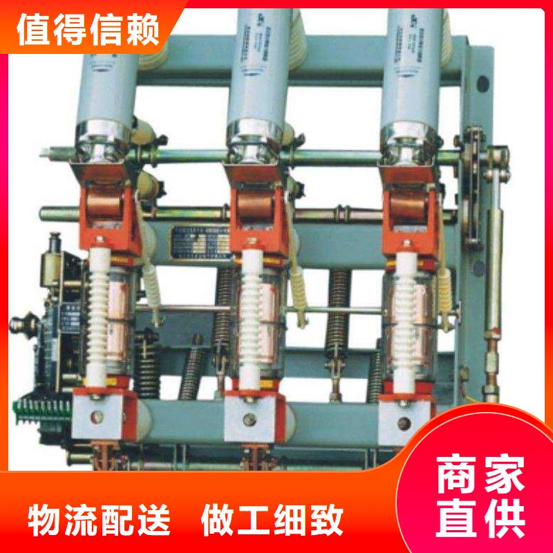 10KV真空负荷开关FZN25/FKN12-12RD/T630A125A现货