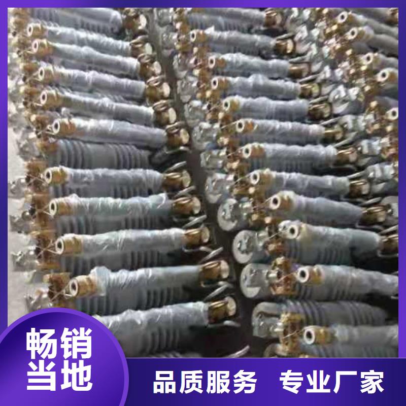 跌落式熔断器,户内高压真空断路器价格有优势