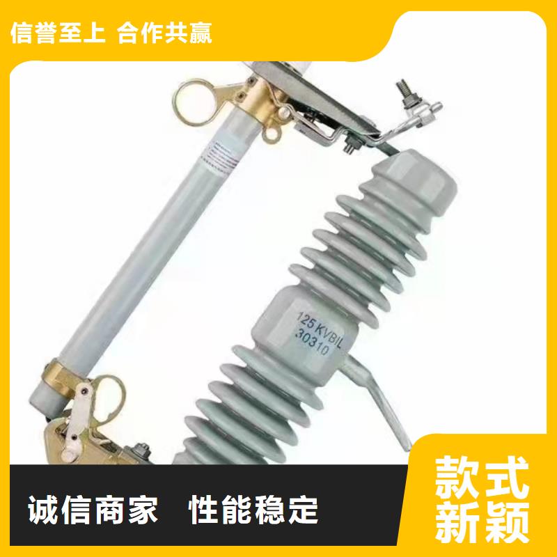 跌落式熔断器ZW32-12F/630A市场报价