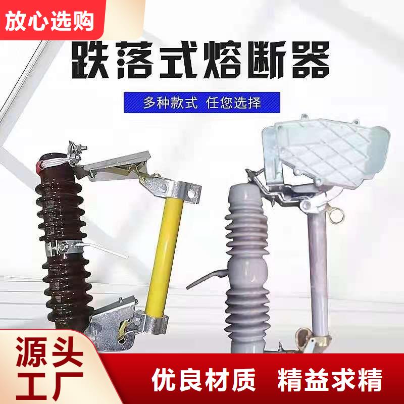 跌落式熔断器PT手车精选货源