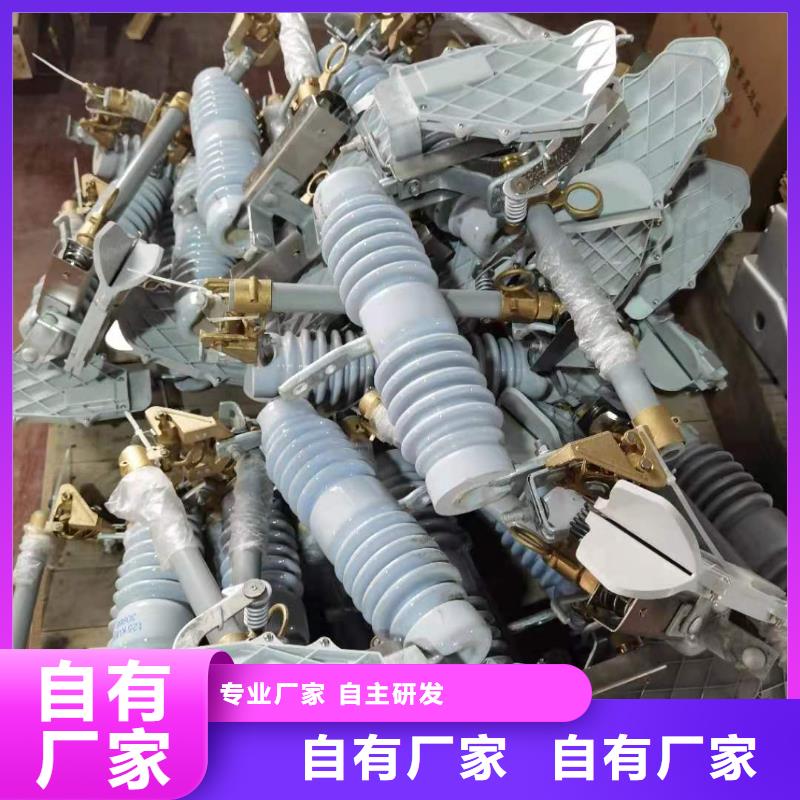 跌落式熔断器_XRNP-10KV高压限流熔断器海量现货