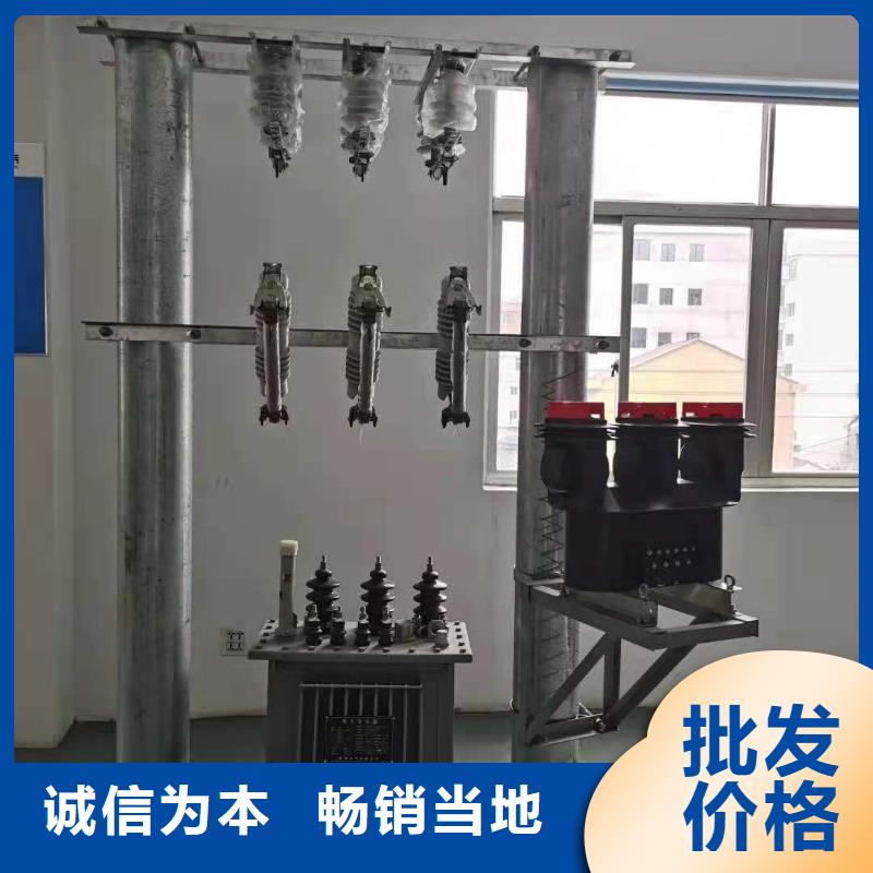 跌落式熔断器PT手车精选货源