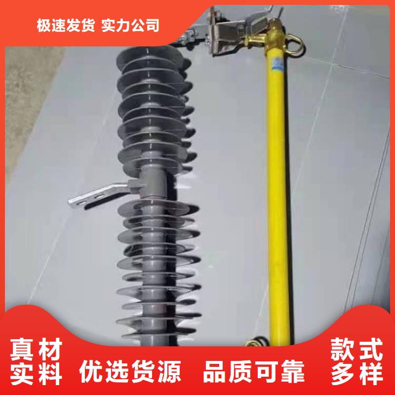 跌落式熔断器ZW32-12F/630A市场报价