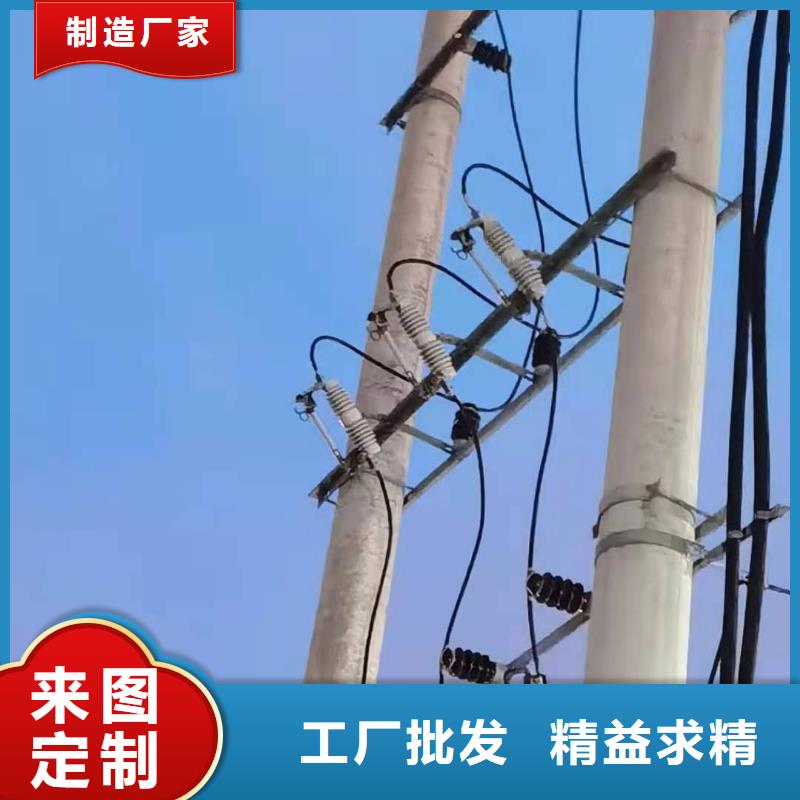 跌落式熔断器户外跌落式熔断器敢与同行比质量