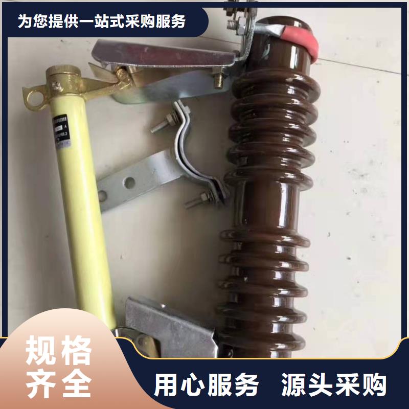 跌落式熔断器PT手车精选货源