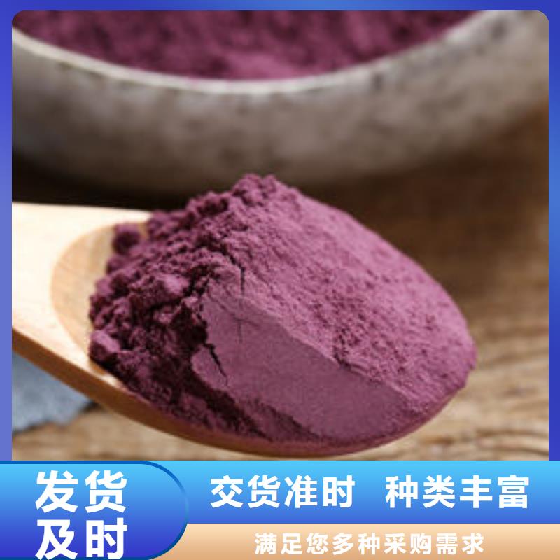 紫薯粉 羽衣甘蓝粉工厂批发