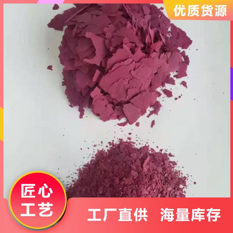紫薯粉 羽衣甘蓝粉工厂批发