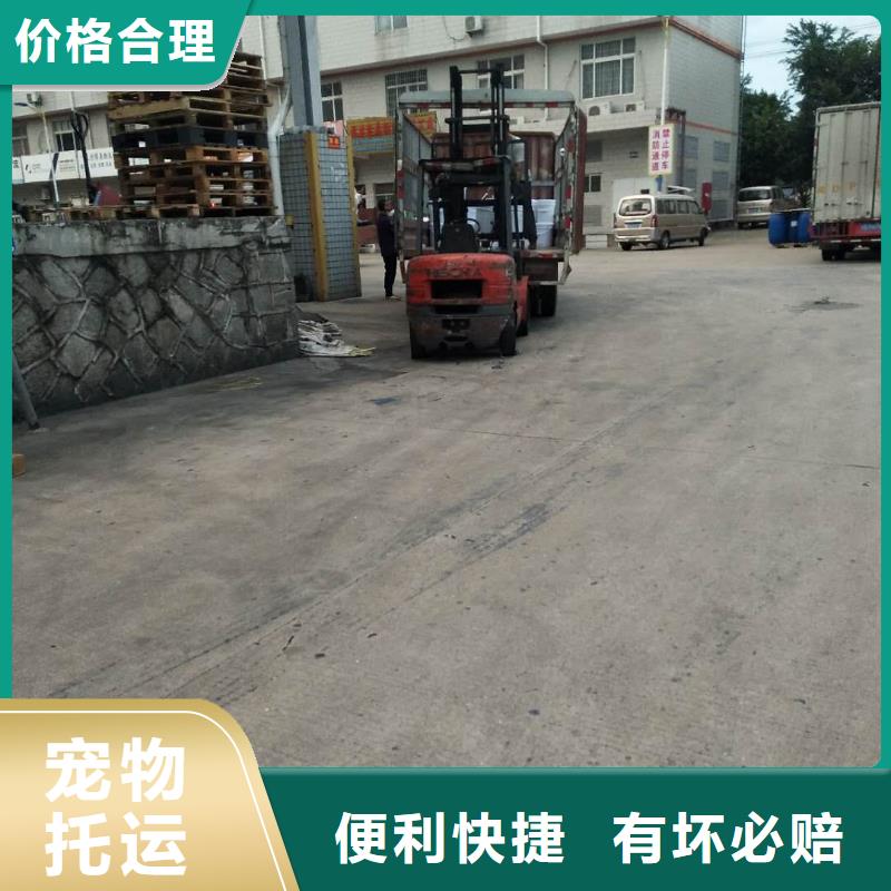 厦门到华尔网货运专线公司货运回头车返空车仓储返程车-视频-厦门到华尔网货运专线公司货运回头车返空车仓储返程车-湖北省黄冈市周边经销商-武穴|罗田|鄂州|襄阳|武汉|荆州