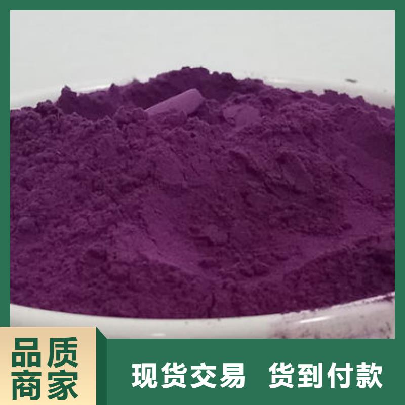 南瓜丁-视频-南瓜丁_江西省景德镇市市场覆盖昌江|浮梁|赣州|上饶|吉安|九江|萍乡|宜春等