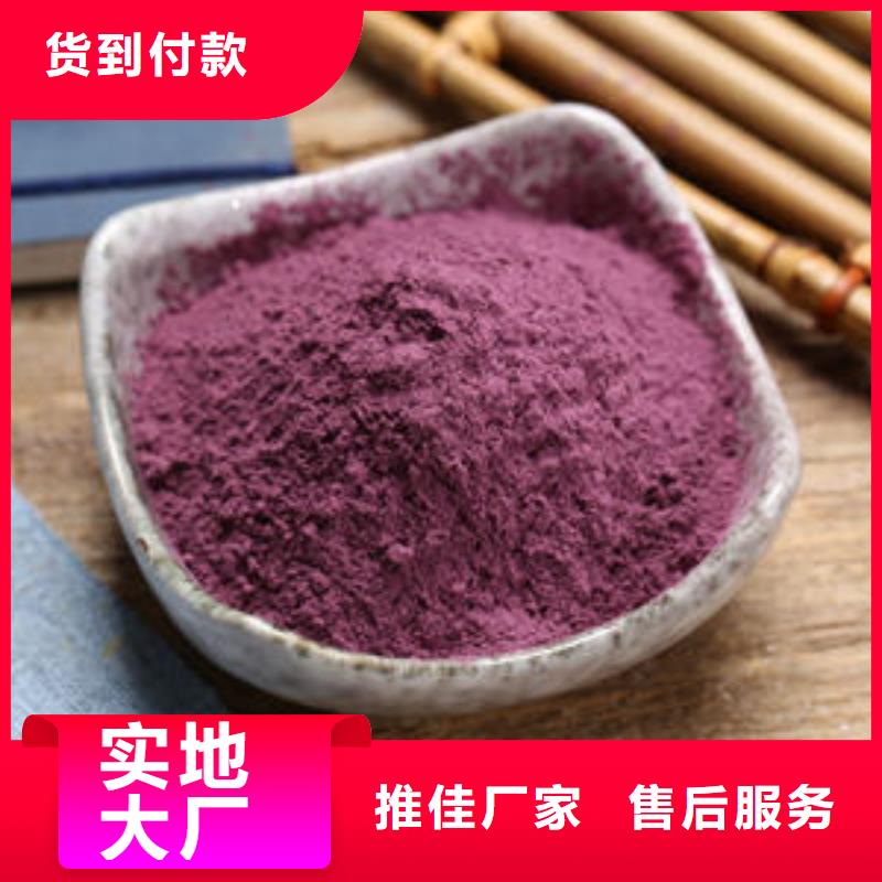 羽衣甘蓝粉-视频-江苏省南通市乐农羽衣甘蓝粉可服务区域崇川|港闸|徐州|常州|镇江|宿迁|连云港|盐城|淮安等