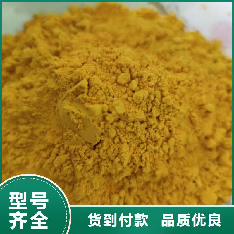 南瓜全粉生产