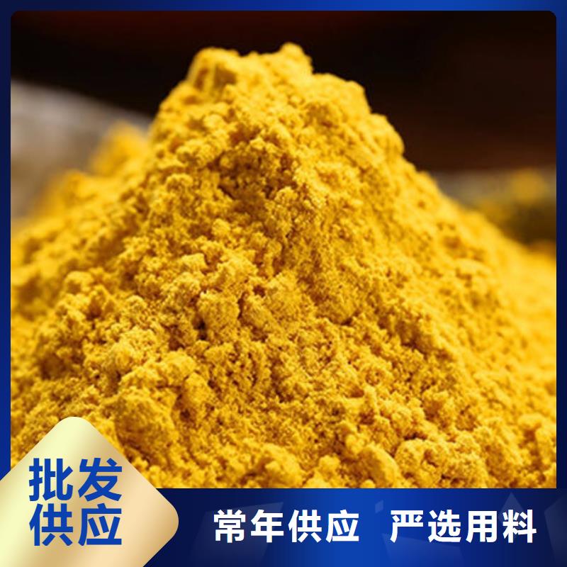金瓜粉来厂考察