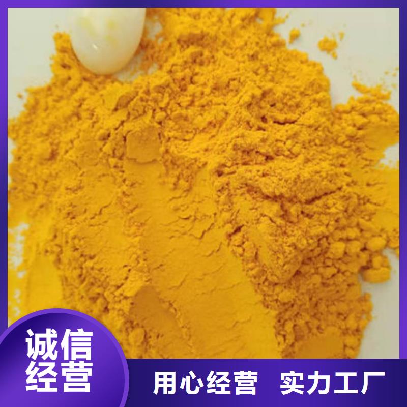 金瓜粉来厂考察