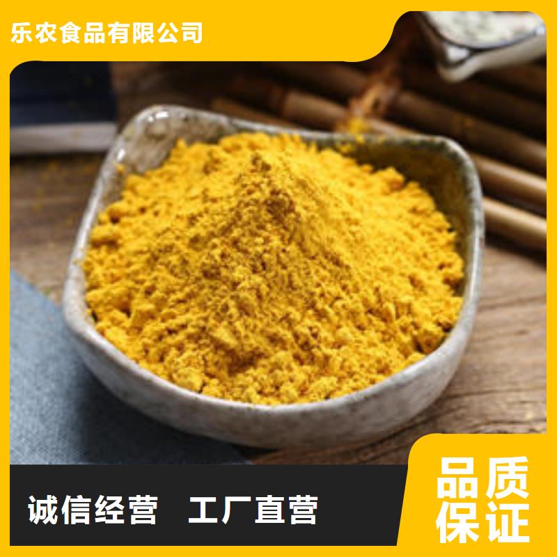 金瓜粉来厂考察