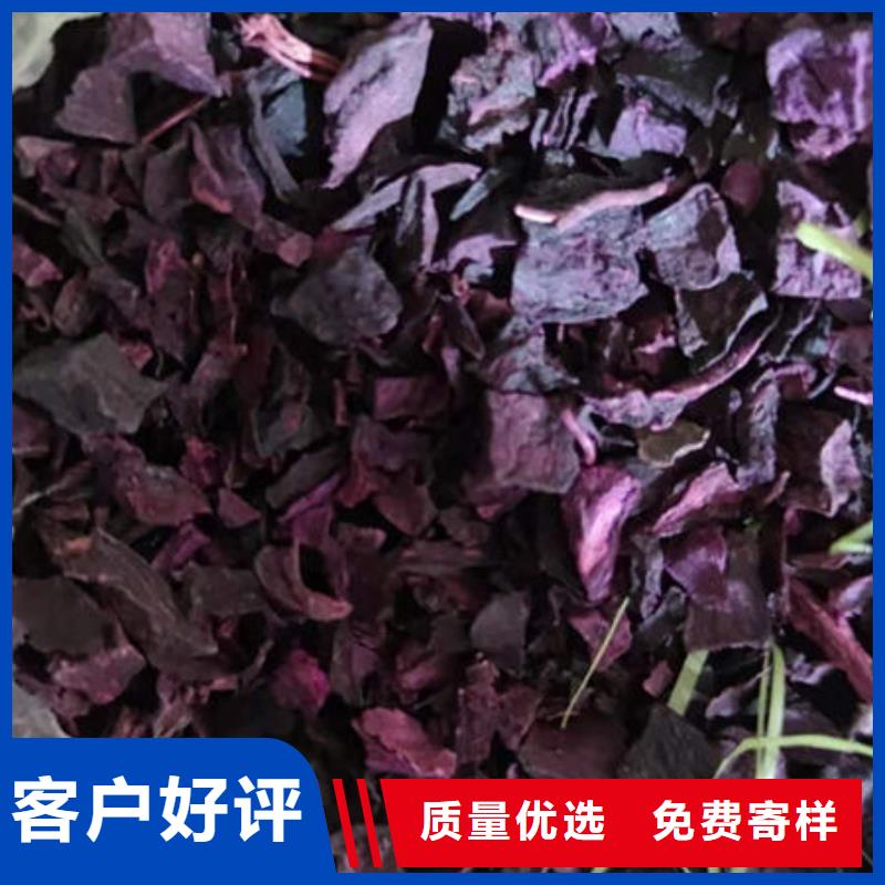南瓜丁-视频-南瓜丁-泰州市靖江市高港|海陵|姜堰|泰兴|兴化该地公司