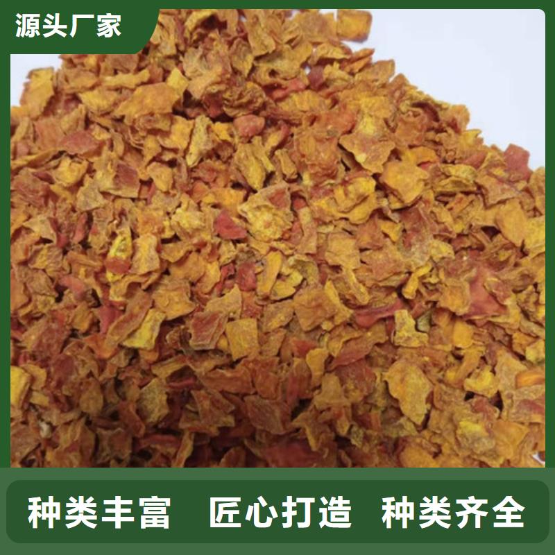 南瓜粒公司