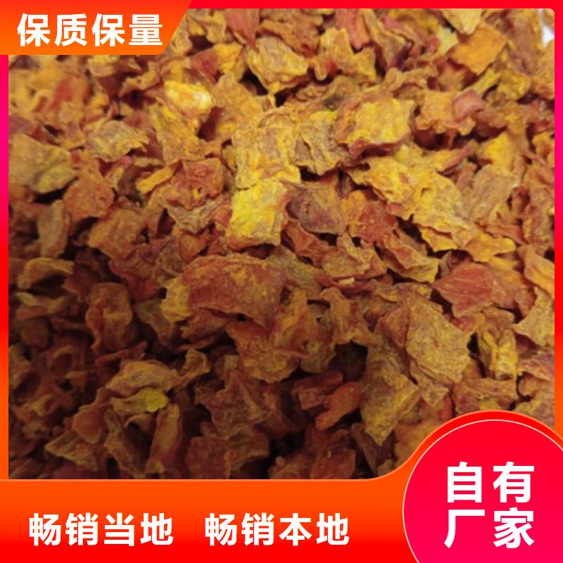 南瓜粒公司