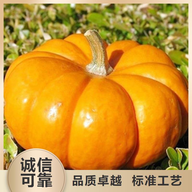 南瓜丁供应商