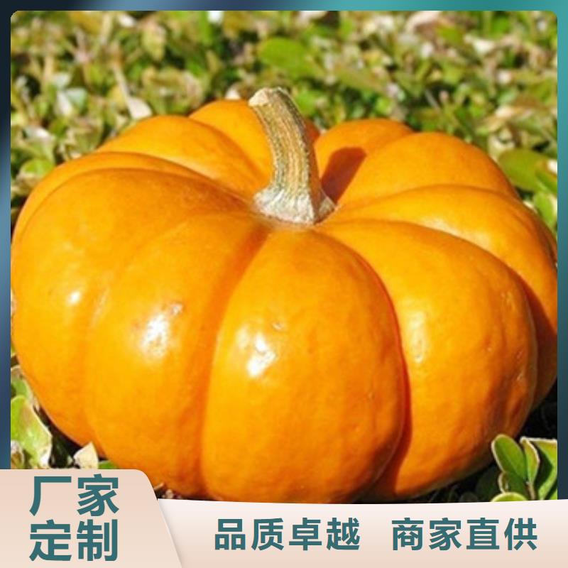 南瓜粒规格齐全
