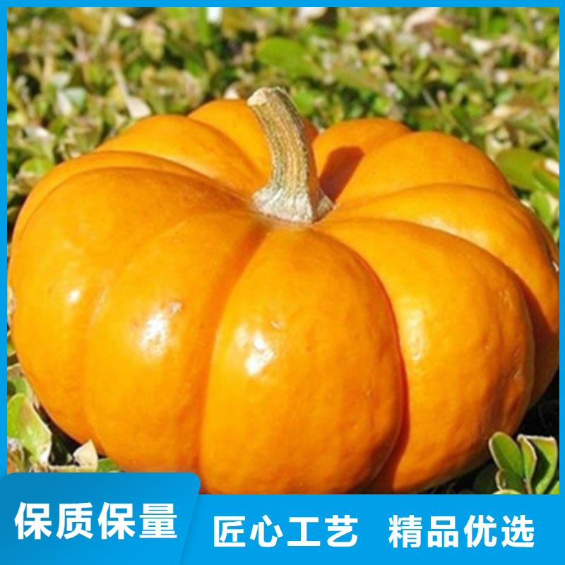 无皮南瓜粒生产