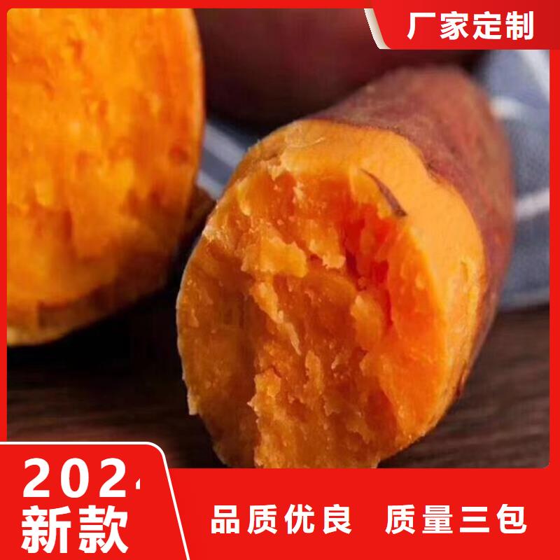 羽衣甘蓝粉-视频-羽衣甘蓝粉|山西省临汾市|曲沃|隰县|长治|吕梁|大同|朔州|运城|阳泉