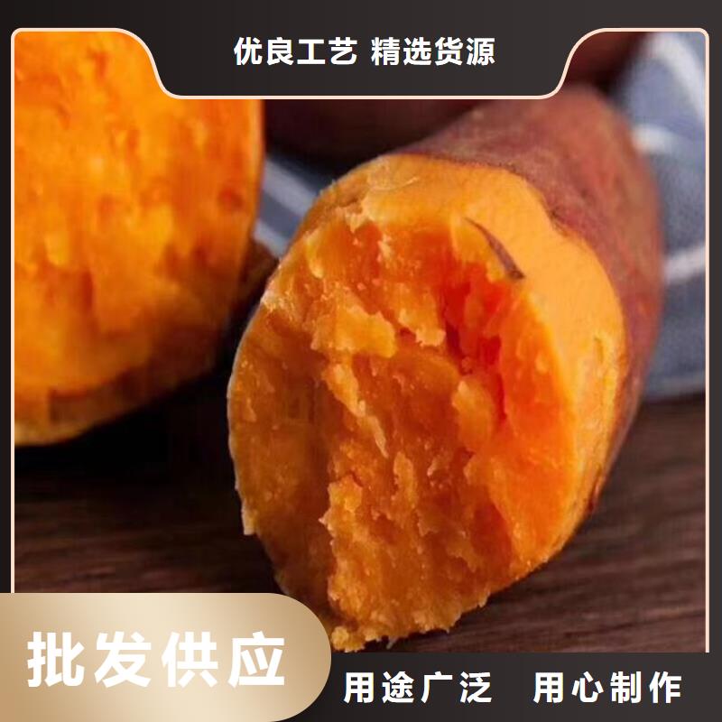 高产脱毒紫薯苗（凌紫品种）价格