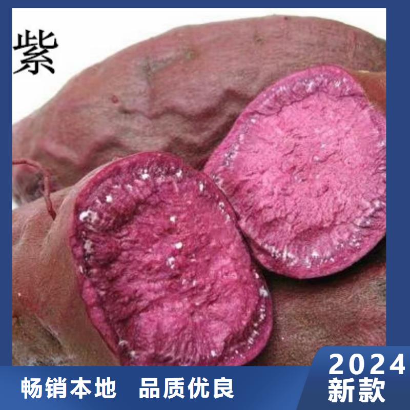 脱毒红薯苗（西瓜红）择优