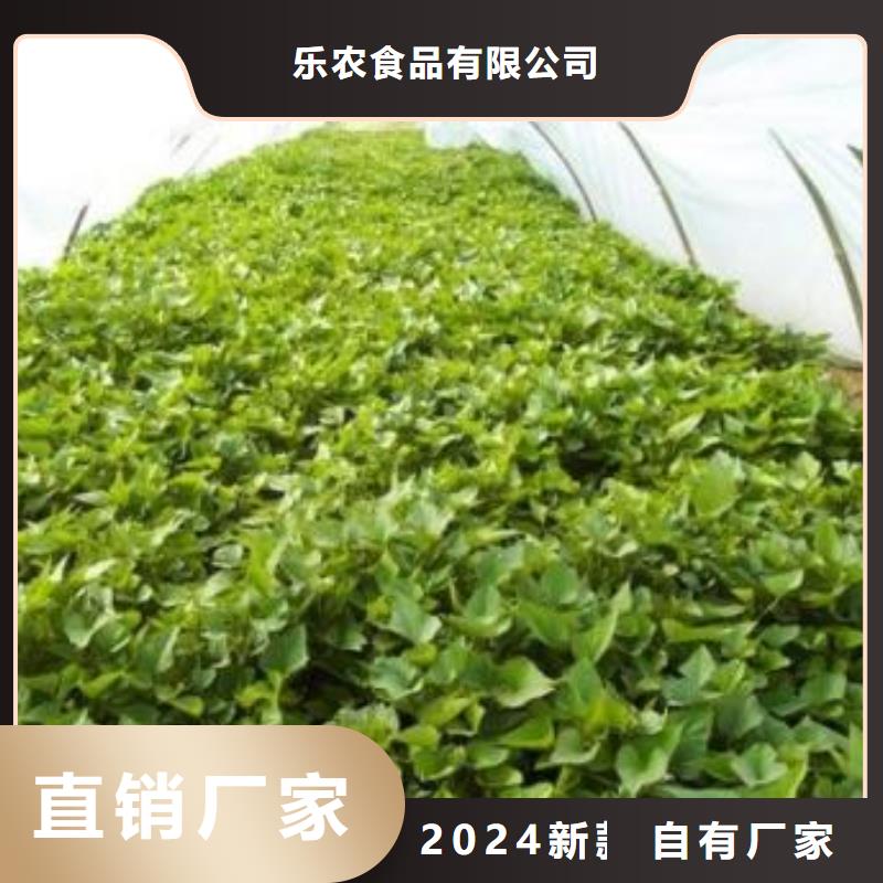 羽衣甘蓝粉视频-钟山|昭平|来宾|百色|玉林|桂林|钦州|贵港羽衣甘蓝粉免费安装-乐农食品(贺州市分公司)
