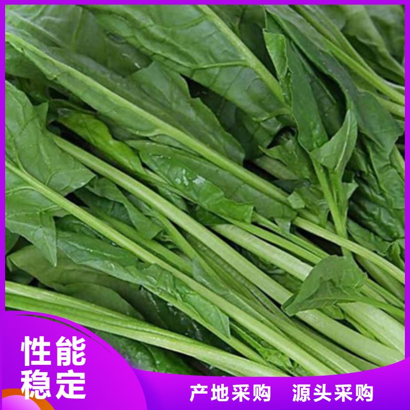 菠菜生粉价格