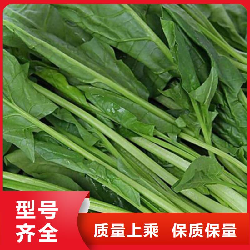 南瓜丁视频-南瓜丁(乐农)覆盖地域河南省南阳市南召|唐河|新乡|鹤壁|漯河|周口|许昌|濮阳|信阳